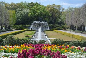 カナール（水路）とその両側の芽吹き前の灰色の銀杏並木とかたらいの道