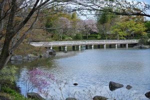 日本庭園　暮春の風景