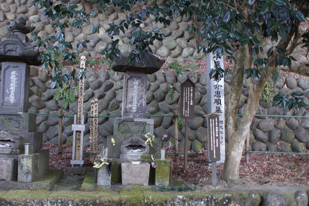 小栗上野介の墓と寄り添う小栗椿